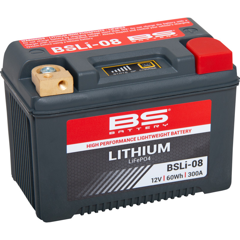 BS BATTERY Lithium LiFePO4 Battery - Image 2