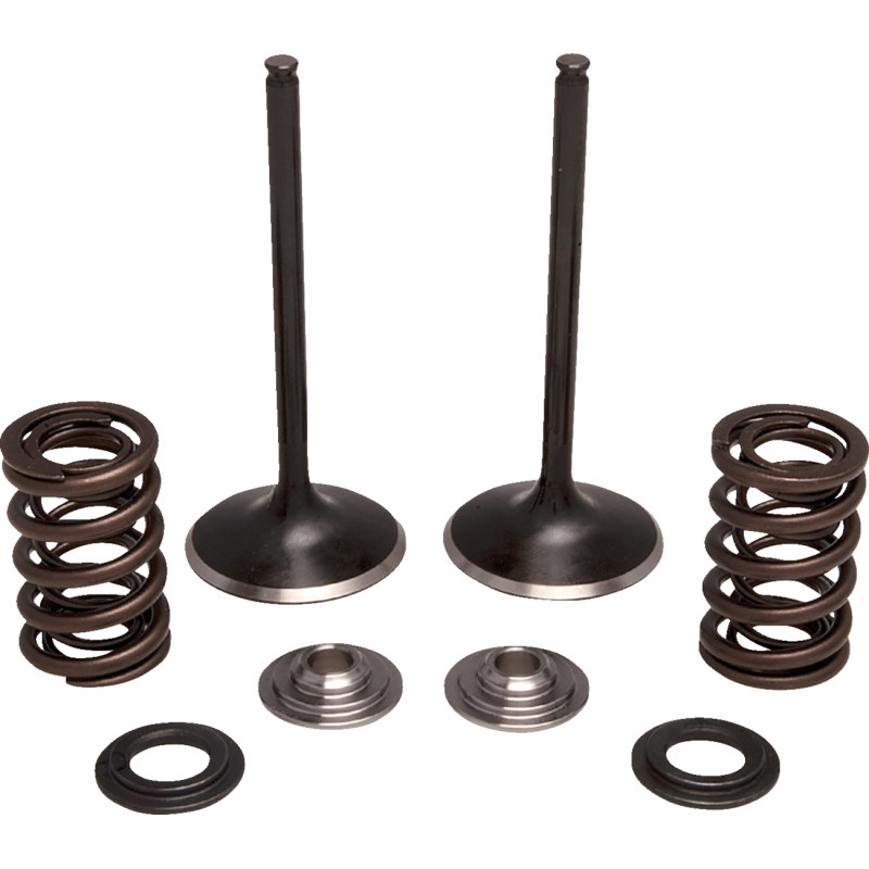 MOOSE OFFROAD Valve and Spring Kit - Image 3