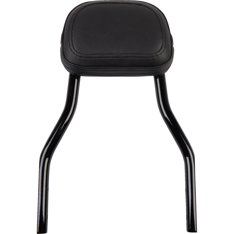 COBRA Detachable Backrest Kit