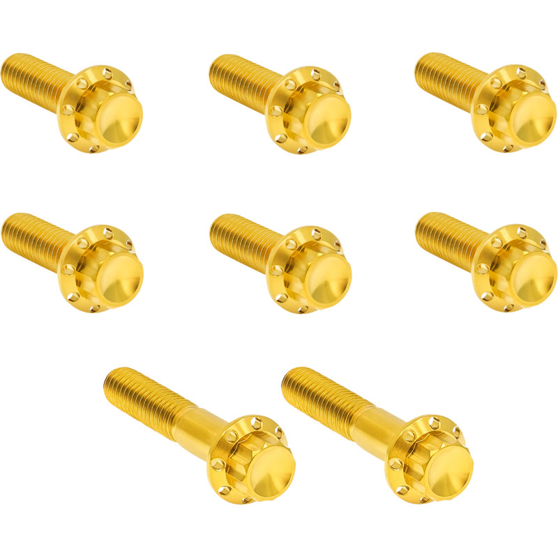 ARLEN NESS Transmission Trap Door Titanium 12-Point Bolt Kit — For 6-Speed Transmission