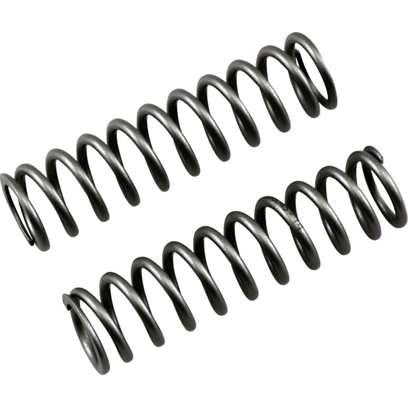 RACE TECH Fork Pressure Springs