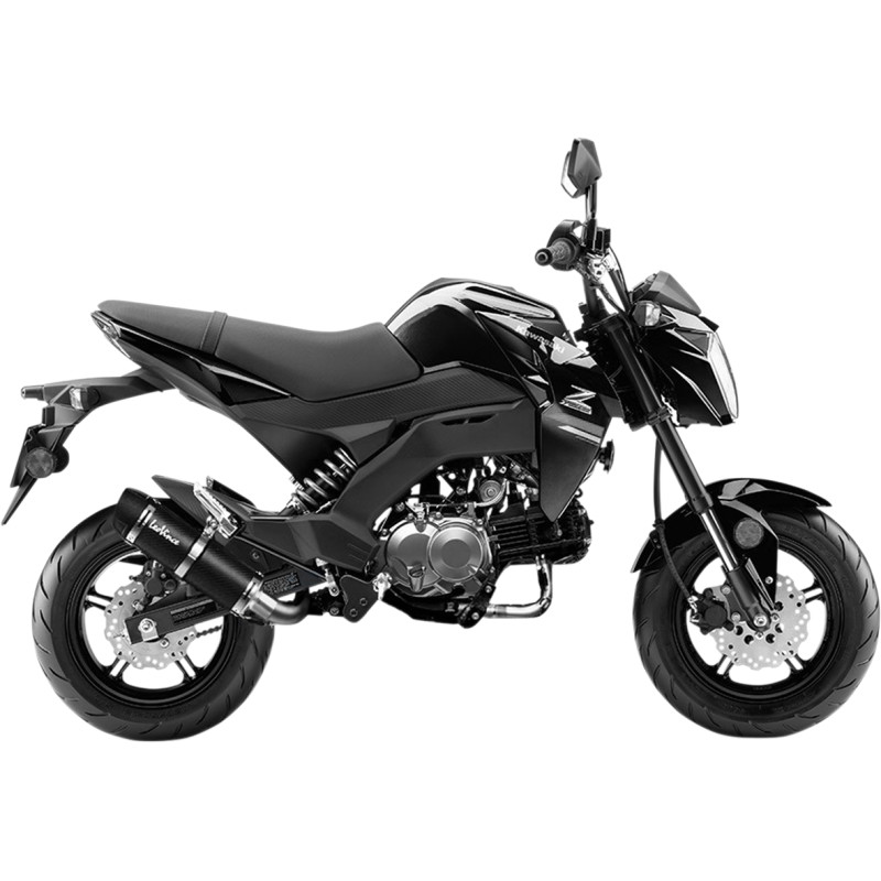 LEOVINCE GP Corsa Evo Exhaust System