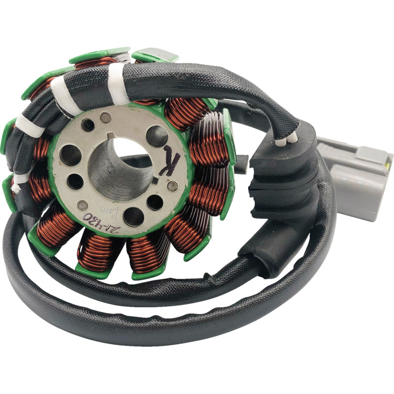 RICK'S MOTORSPORT ELECTRIC Stator - Image 4