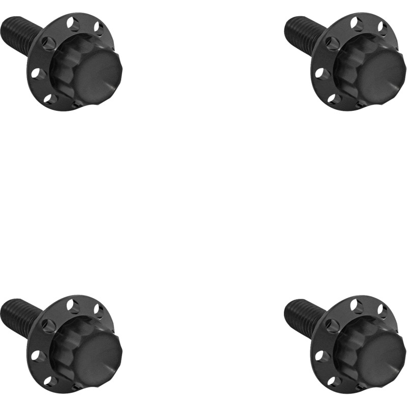 ARLEN NESS 12-Point Windshield Bolt Kit