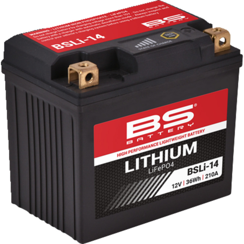 BS BATTERY Lithium LiFePO4 Battery - Image 4