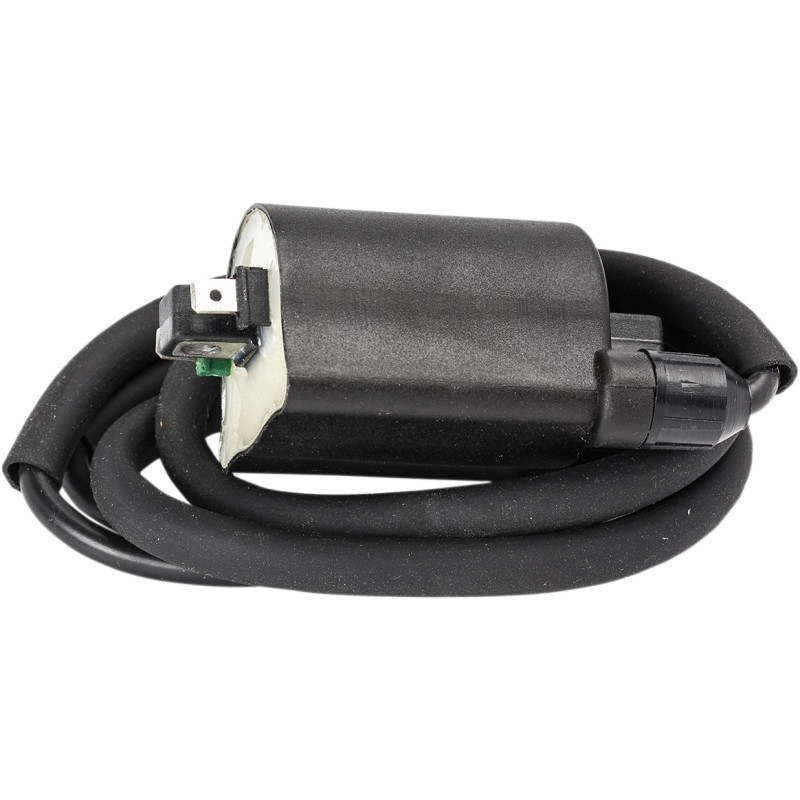 RICK'S MOTORSPORT ELECTRIC Ignition Coil