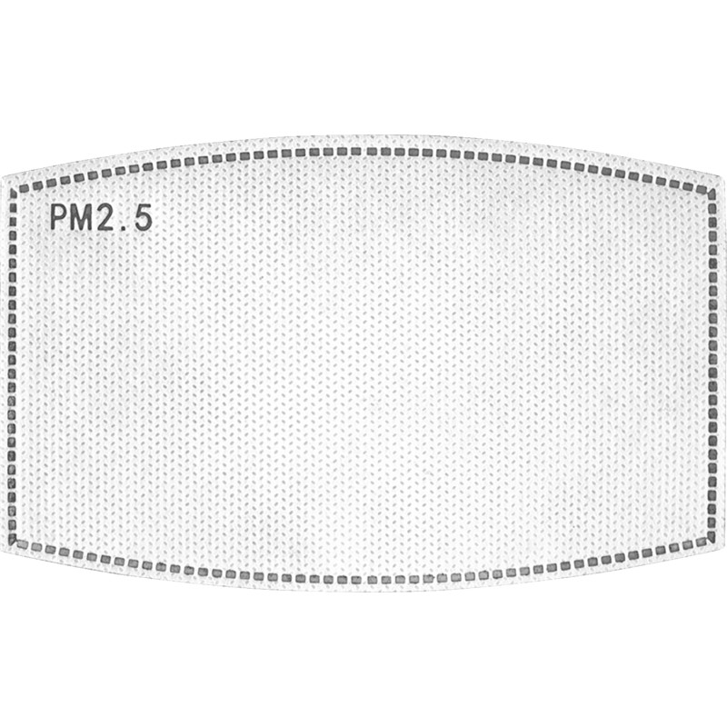ZAN HEADGEAR Replacement PM 2.5 Filter