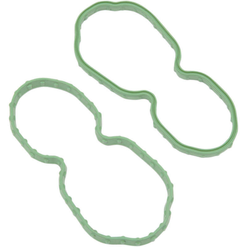 DRAG SPECIALTIES Fuel Pump Door Seal