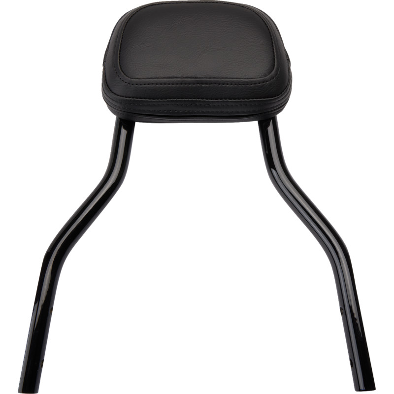 COBRA Detachable Backrest Kit