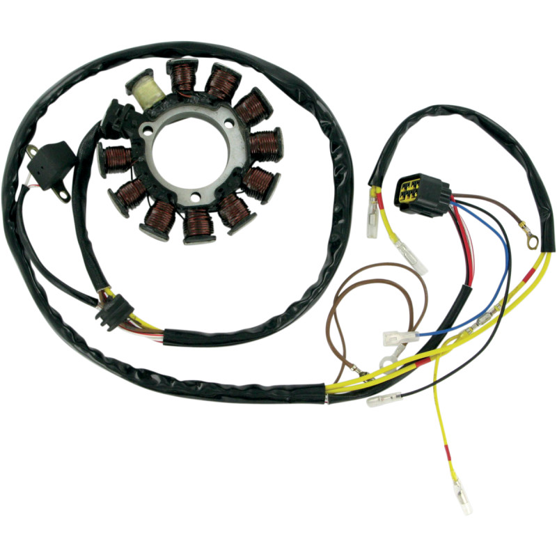 RICK'S MOTORSPORT ELECTRIC Stator for Polaris