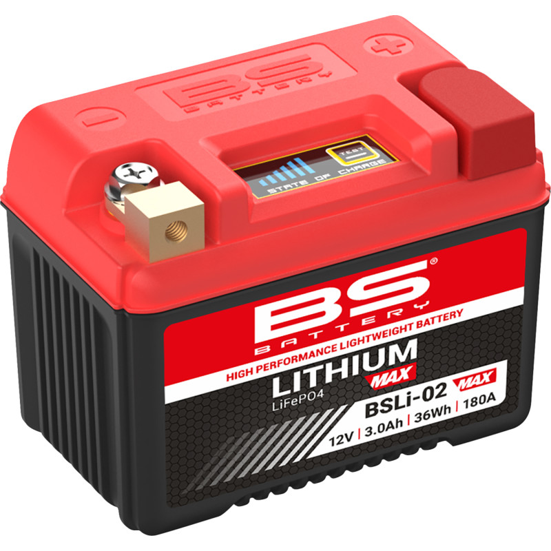 BS BATTERY Lithium Max LiFePO4 Battery