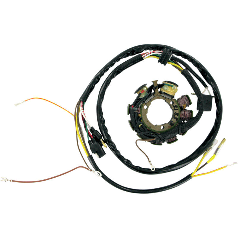 RICK'S MOTORSPORT ELECTRIC Stator for Polaris - Image 4