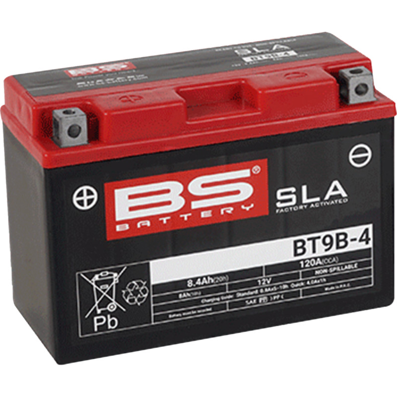 BS BATTERY SLA Factory- Activated AGM Maintenance-Free Battery