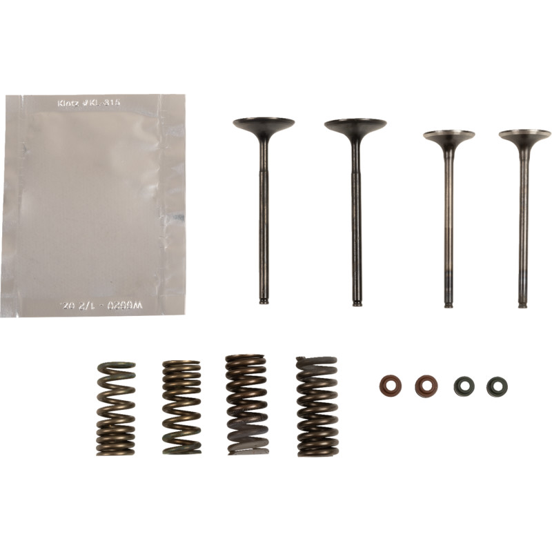WISECO Valve Kit - Image 2