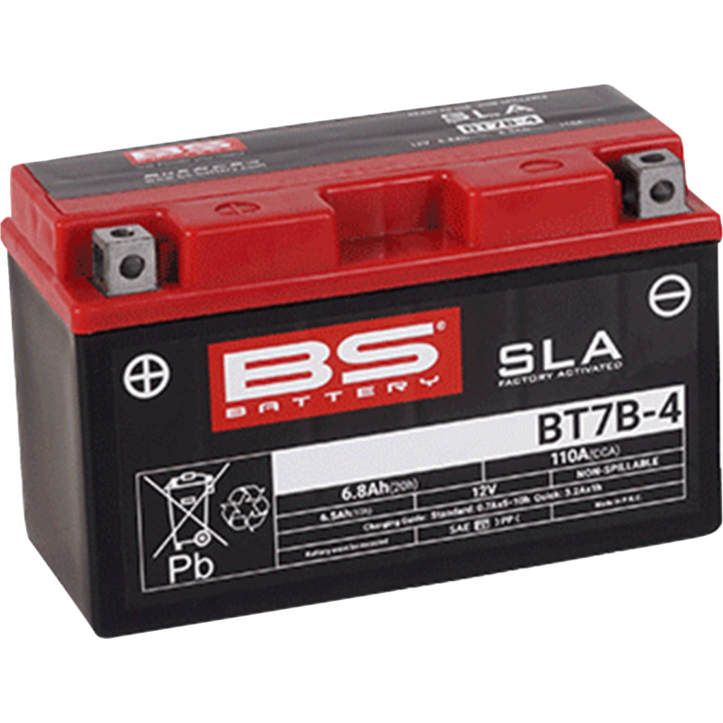 BS BATTERY SLA Factory- Activated AGM Maintenance-Free Battery