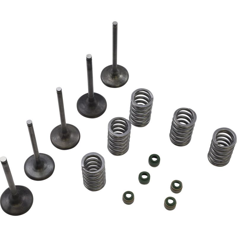 WISECO Valve Kit - Image 7