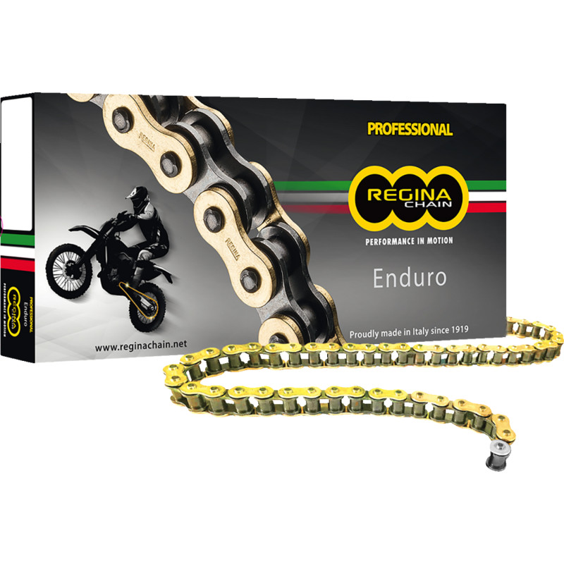 REGINA 520 ZSE Drive Chain