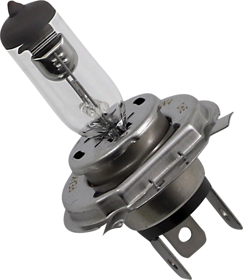 Peak Lighting Halogen Bulb — H4 — 35/35W