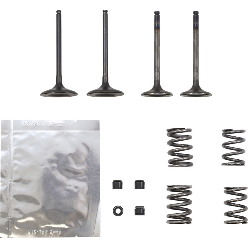 WISECO Valve Kit - Image 10