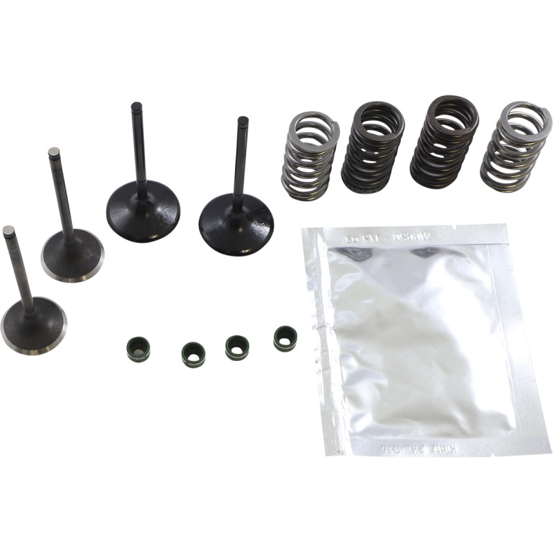 WISECO Valve Kit - Image 5
