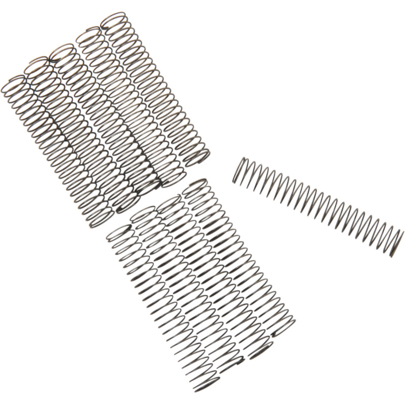 EASTERN MOTORCYCLE PARTS Oil Pump Relief Valve Springs