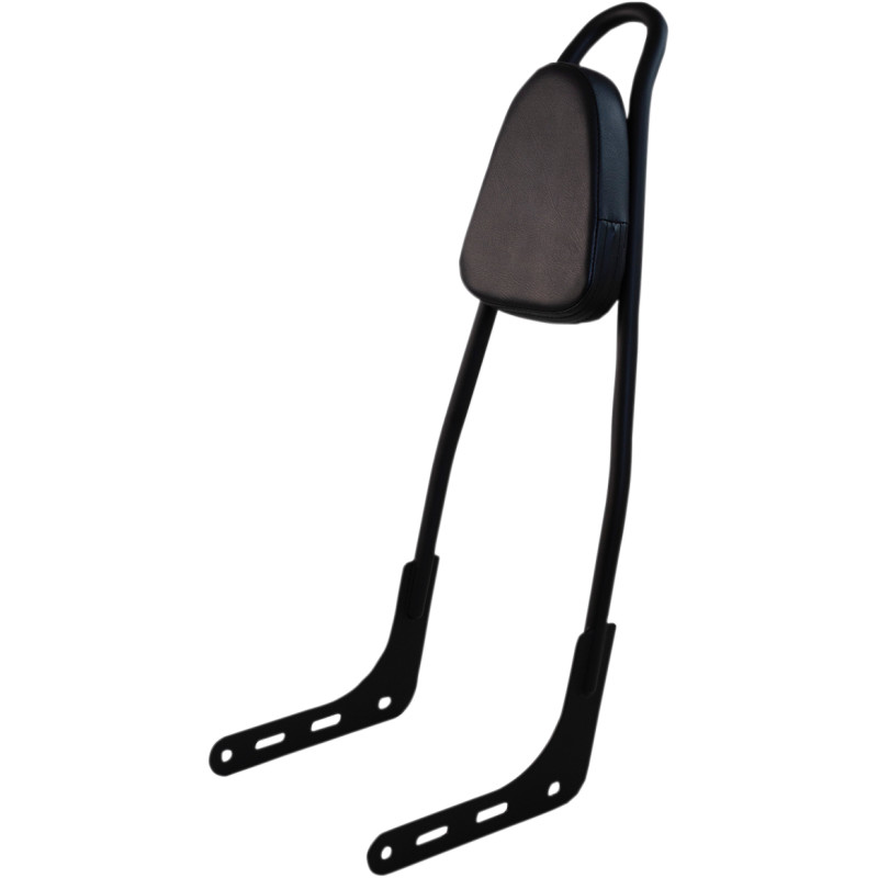 MOTHERWELL One-Piece Sissy Bar — Includes Backrest Pad, 