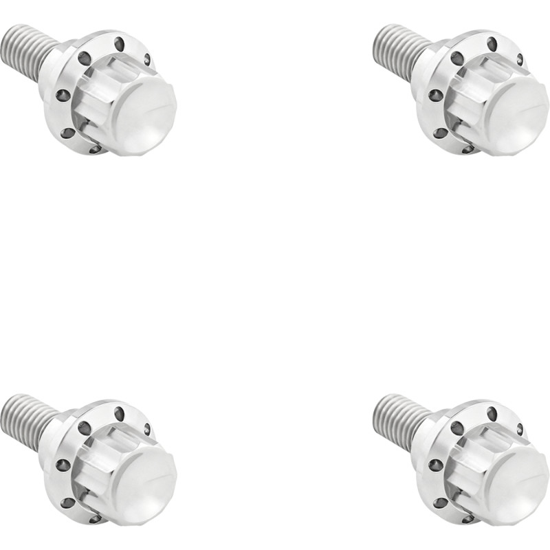 ARLEN NESS Windshield Titanium 12-Point Bolt Kit