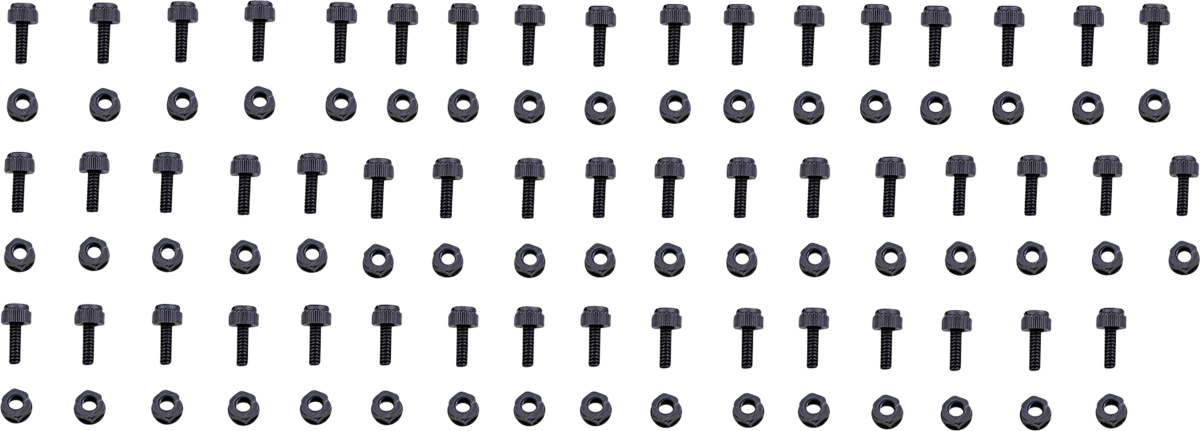 Bolt Fastener Kit — License Plate — 50PK
