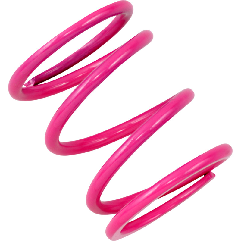 EPI Primary Clutch Spring