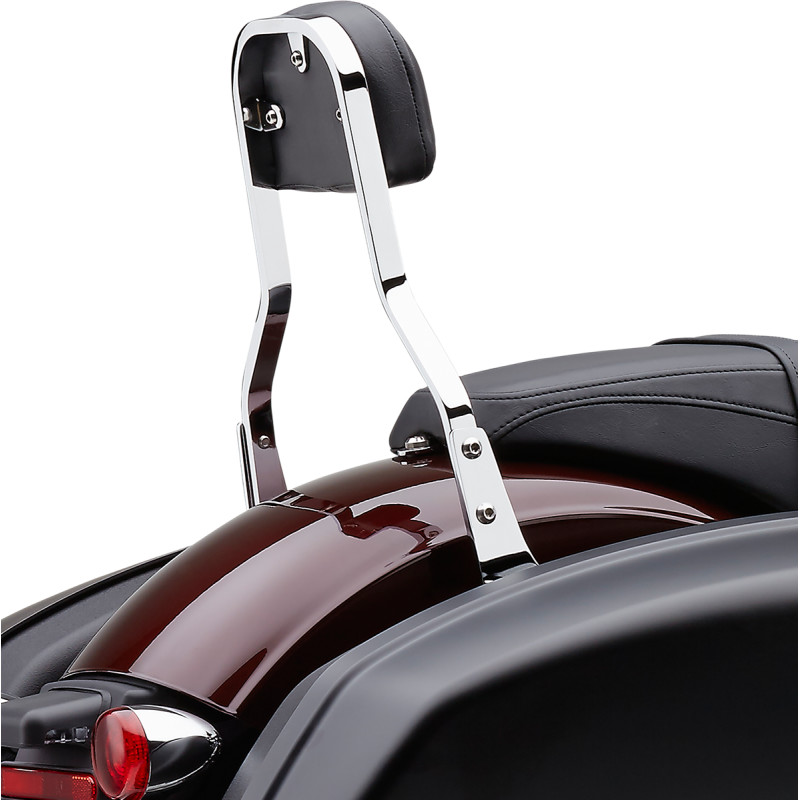 COBRA Detachable Backrest Kit