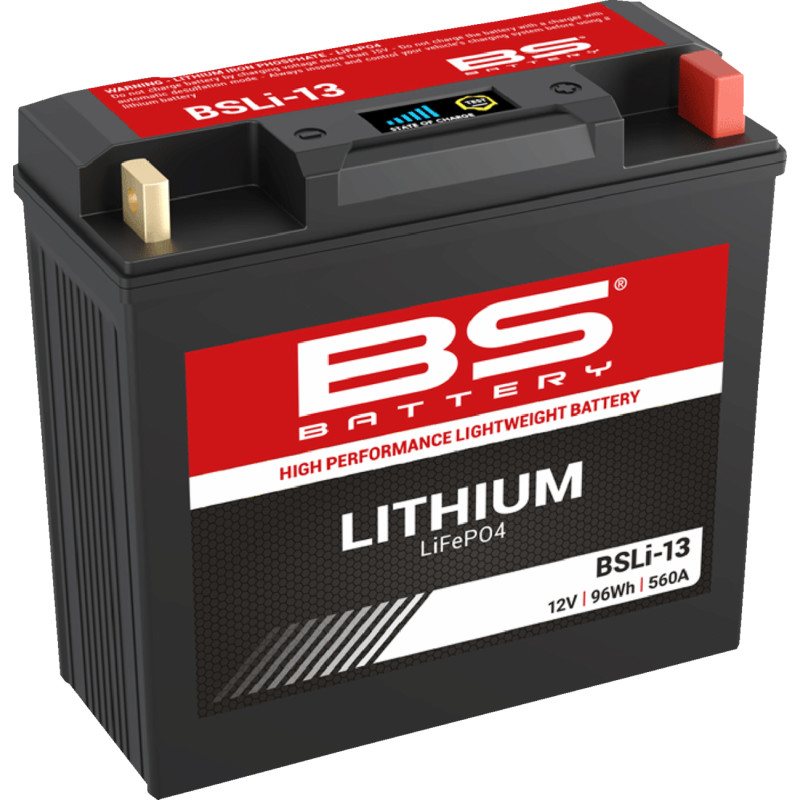 BS BATTERY Lithium LiFePO4 Battery - Image 3