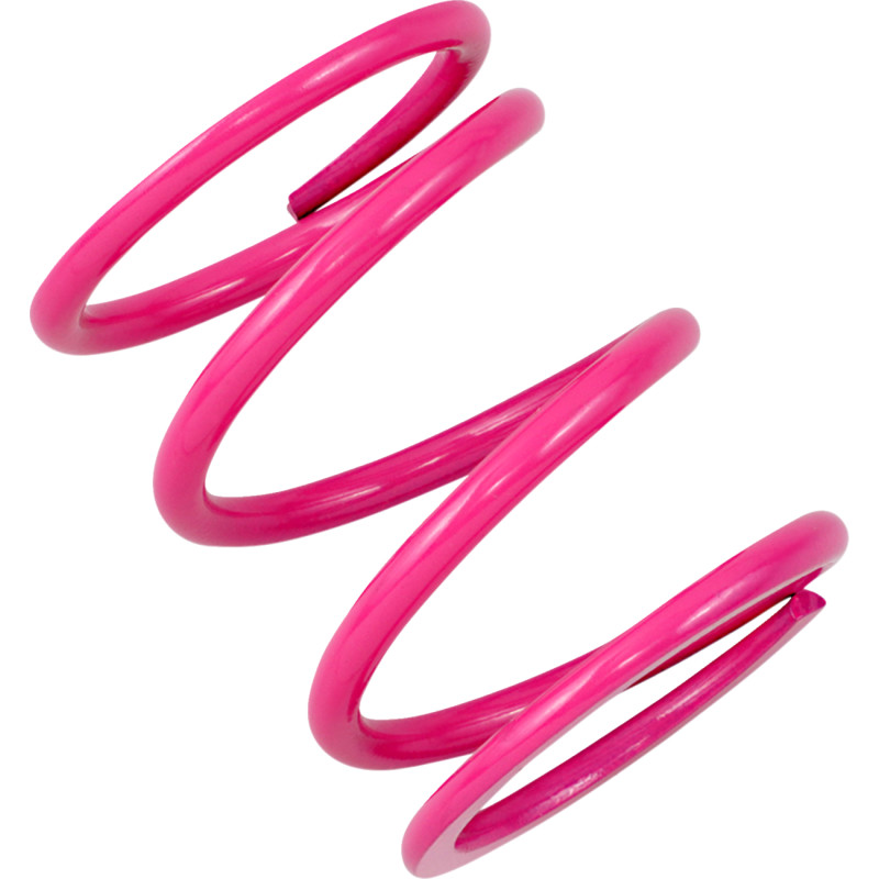 EPI Primary Clutch Spring Polaris - Image 2