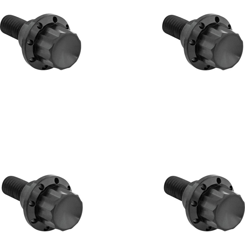 ARLEN NESS Windshield Titanium 12-Point Bolt Kit