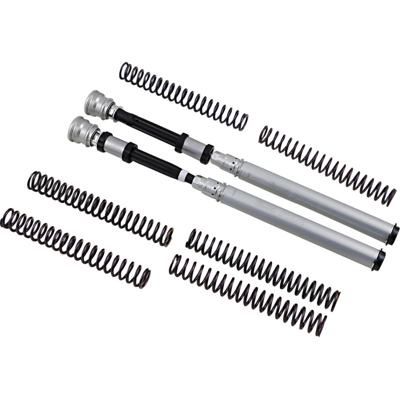 OHLINS FKR Catridge Kit