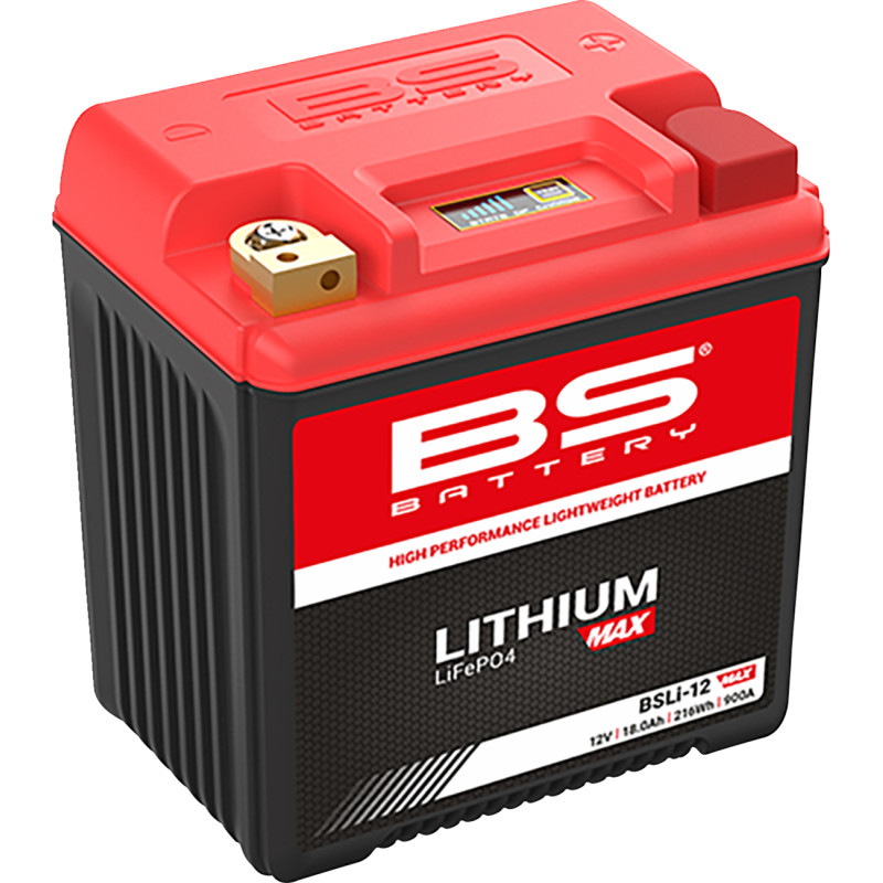 BS BATTERY Lithium Max LiFePO4 Battery