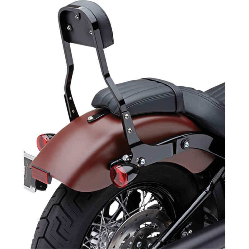COBRA Detachable Backrest Kit