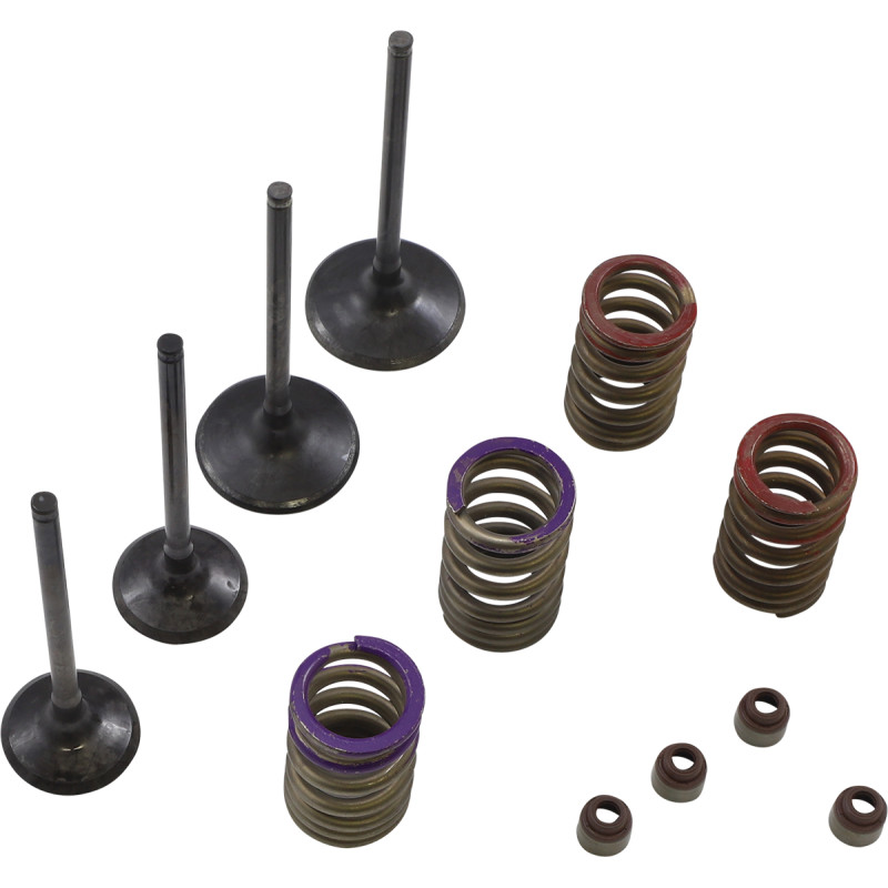 WISECO Valve Kit - Image 13