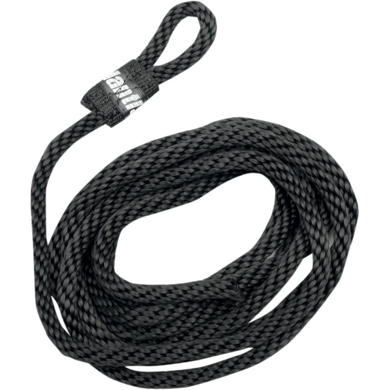 ATLANTIS Docking Line