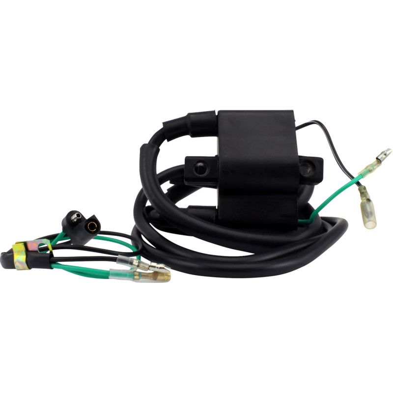 RM STATOR Ignition Coil