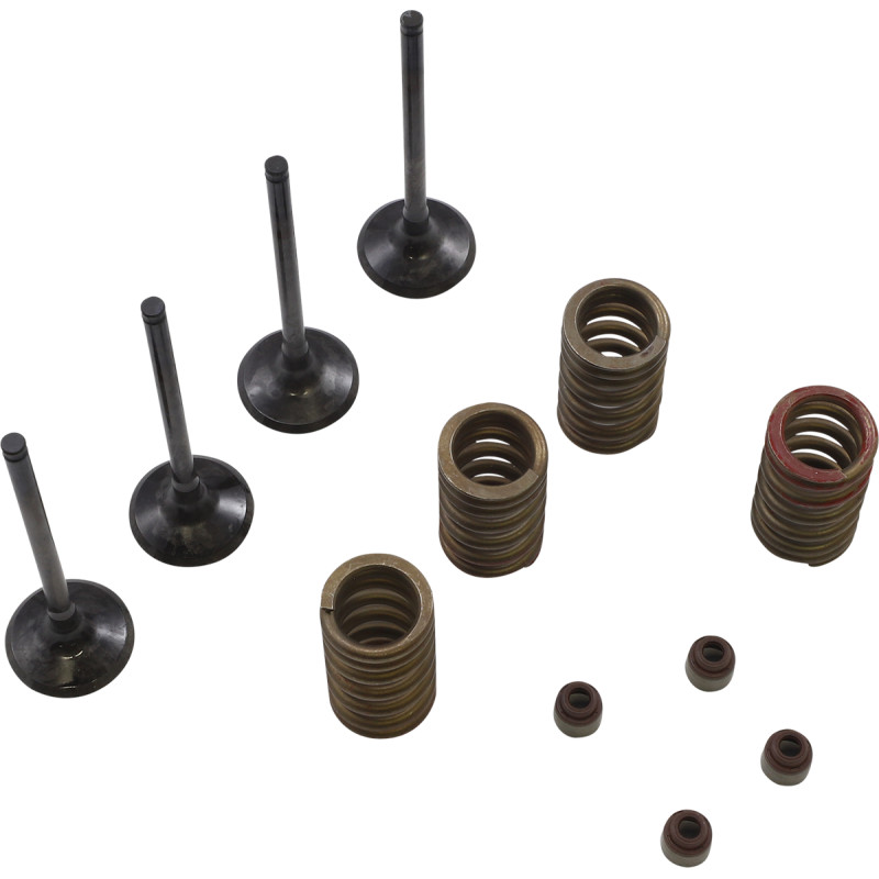 WISECO Valve Kit - Image 12