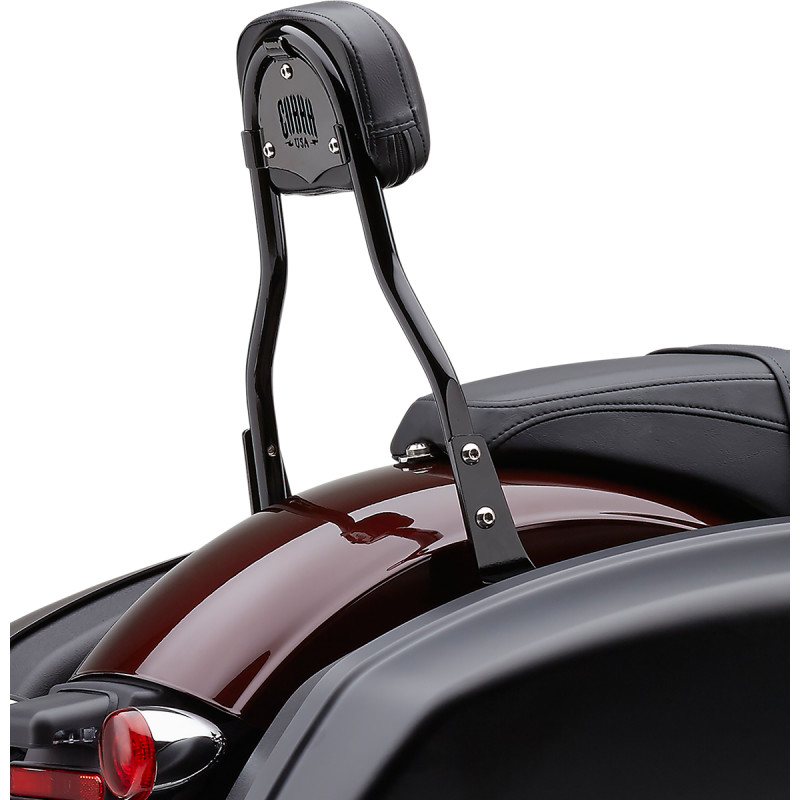 COBRA Detachable Backrest Kit
