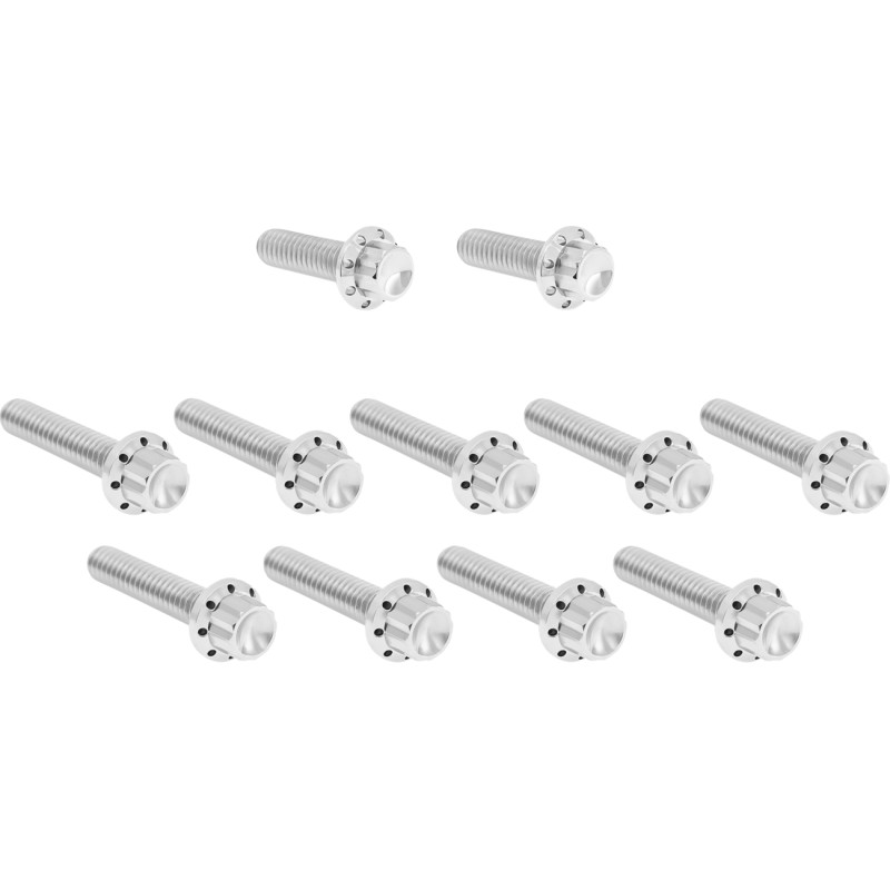 ARLEN NESS Cam Cover/Point Cover Titanium 12-Point Bolt Kit - Image 2