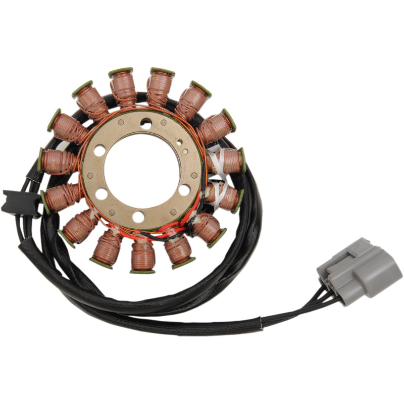 RICK'S MOTORSPORT ELECTRIC Stator