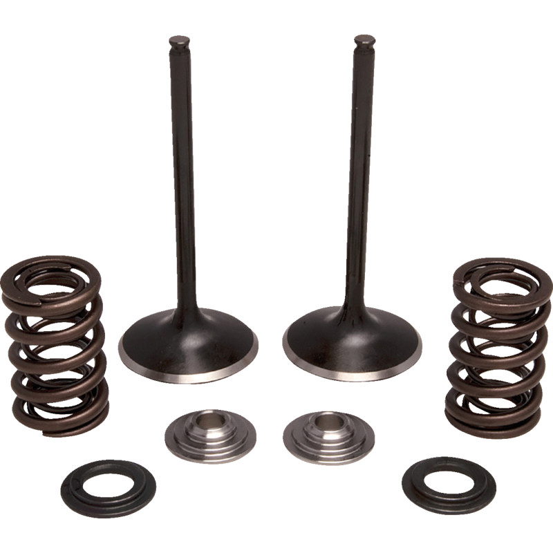 MOOSE OFFROAD Valve and Spring Kit