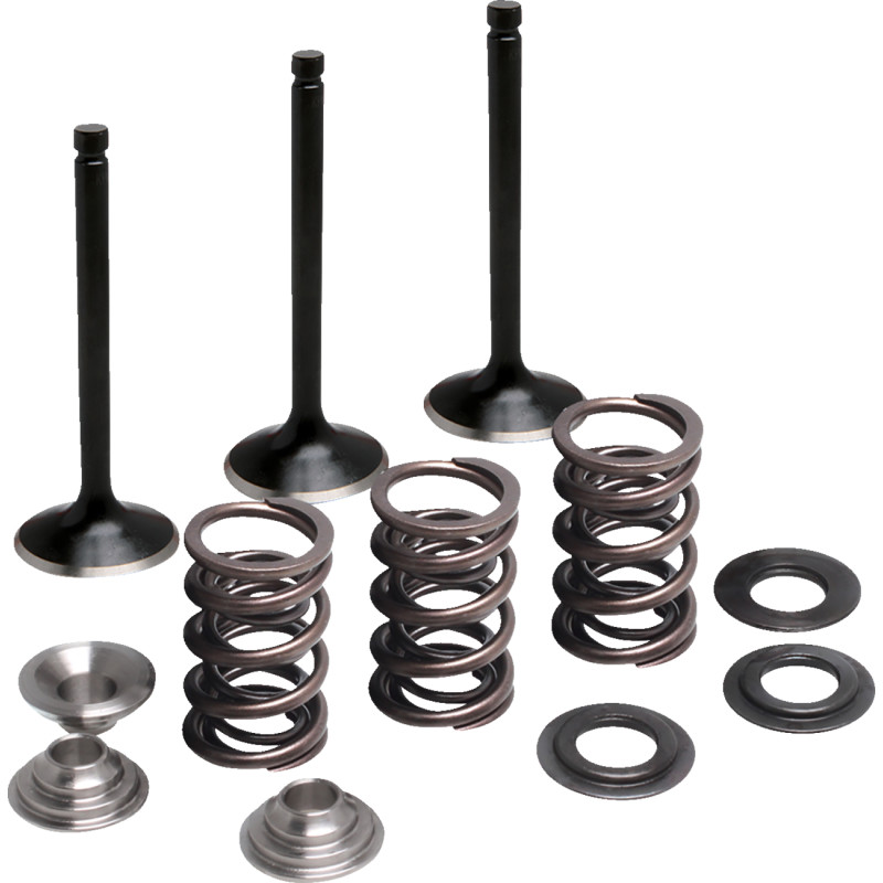 MOOSE OFFROAD Valve and Spring Kit - Image 2
