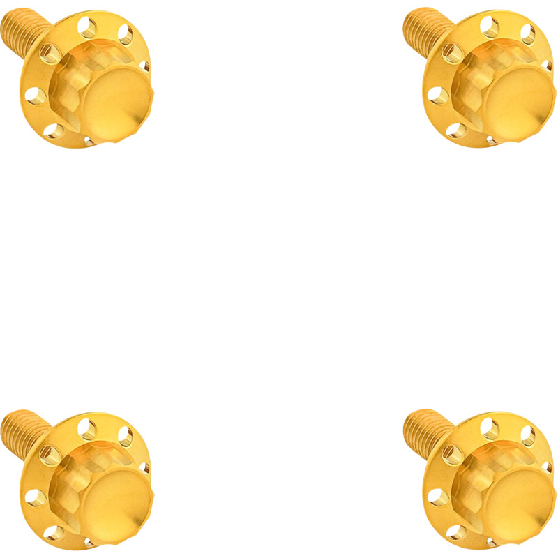 ARLEN NESS 12-Point Windshield Bolt Kit - Image 2