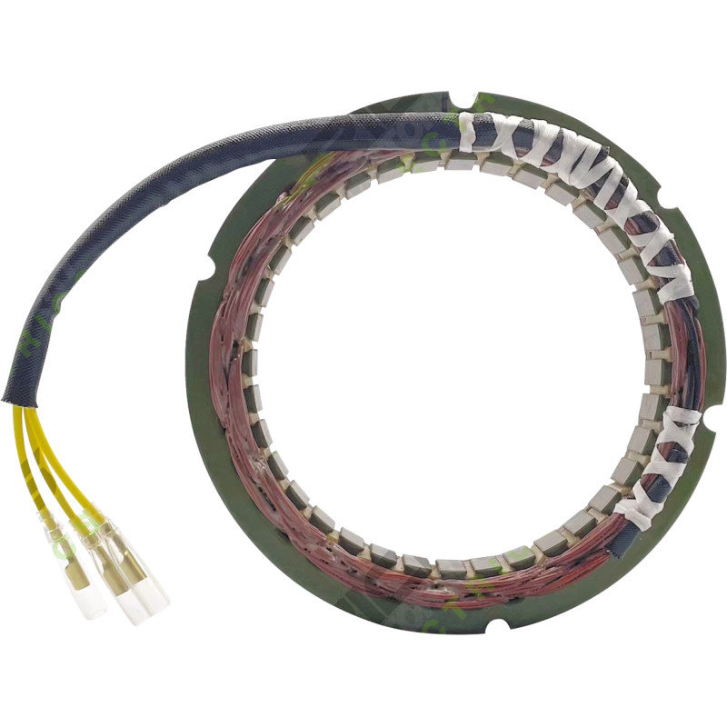 RICK'S MOTORSPORT ELECTRIC Stator - Image 14