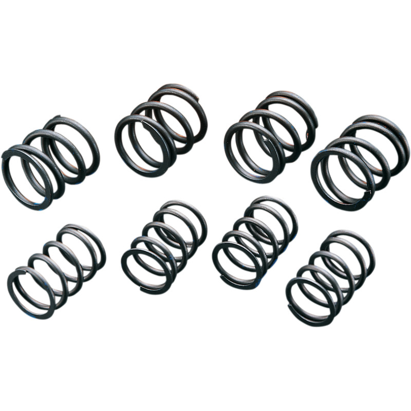 ANDREWS High-Lift Valve Springs