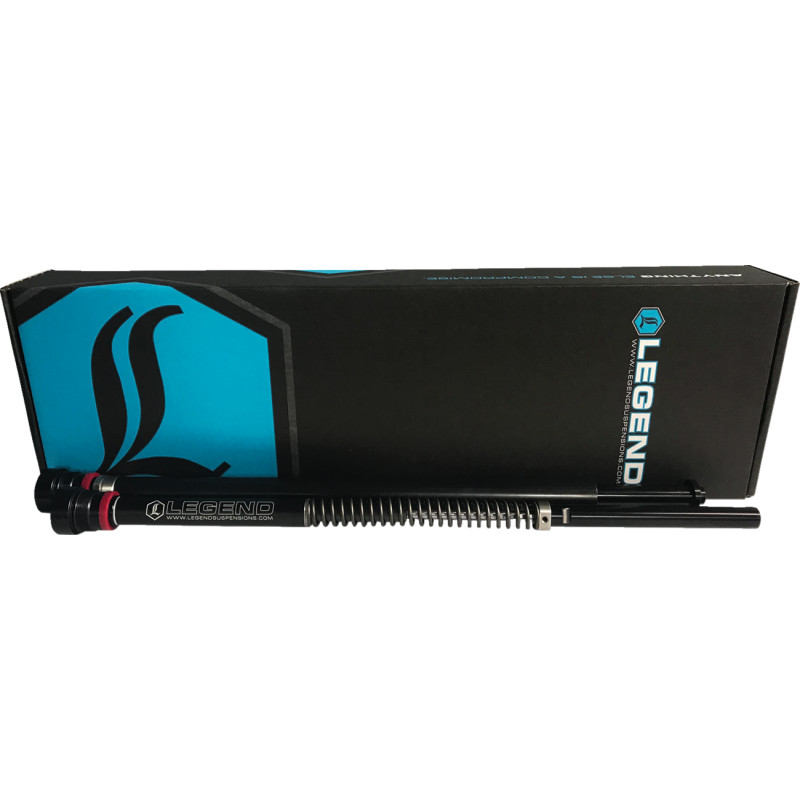 LEGEND SUSPENSION AXEO43 Performance Front Suspension
