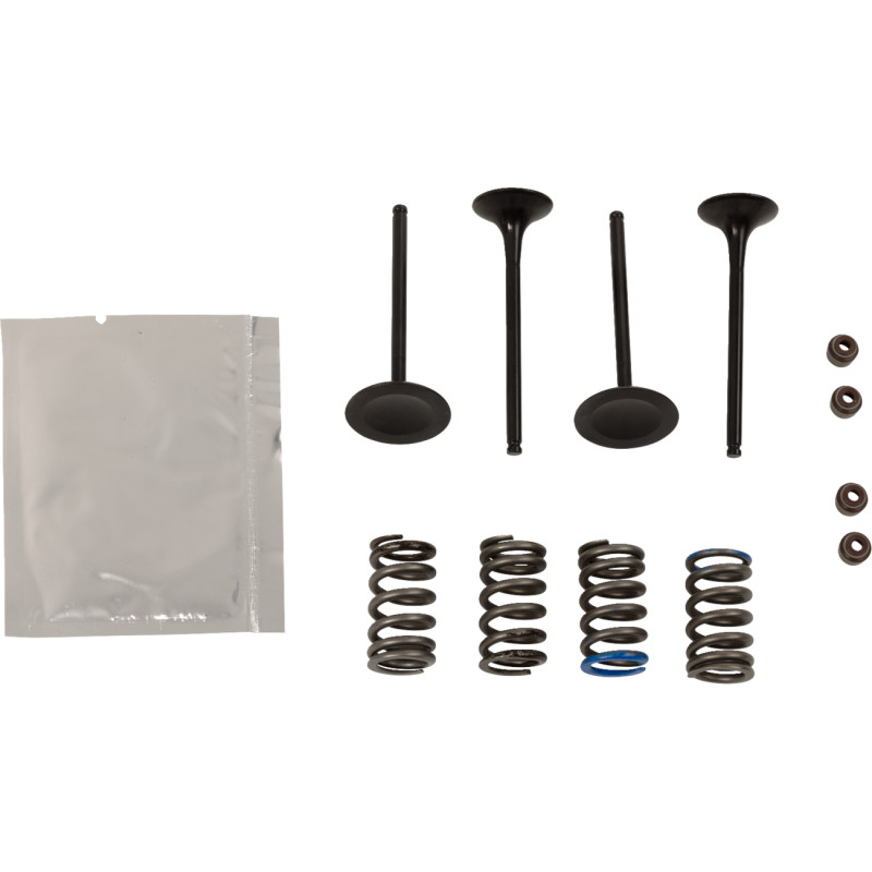 WISECO Valve Kit - Image 17